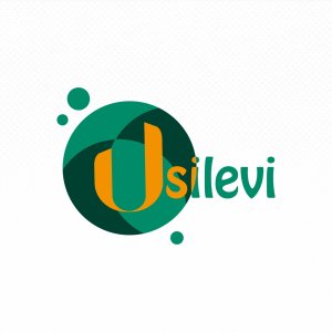 Logo de Usilevi Freios